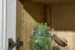 Кухня DIRECTOIRE в наявності - 11 (preview)